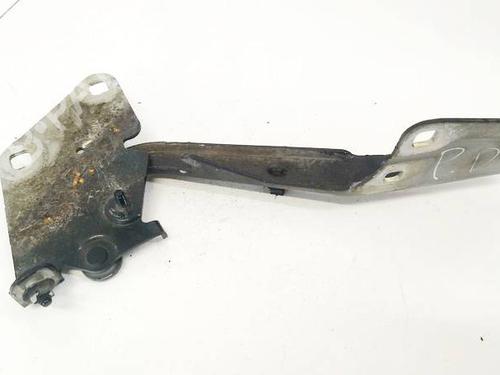 Used Hinge/Door check strap Hinge/Door check strap RENAULT MEGANE III Hatchback (BZ0/1_, B3_) 1.5 dCi (BZ09, BZ0D, BZ1W, BZ29, BZ14) (110 hp) 35083126 35083126