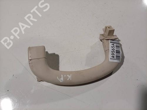 interior-roof-handle-fiat-grande-punto-199_-2005-34754175 main image