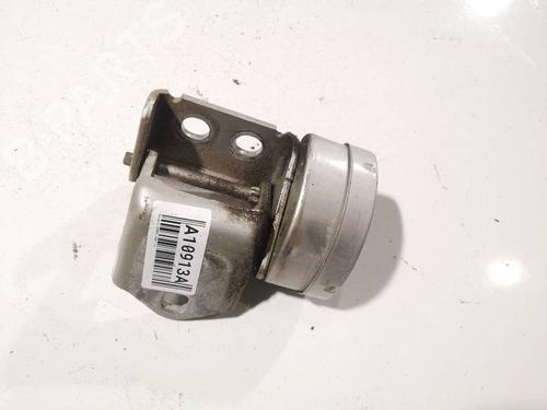 hingedoor-check-strap-renault-scenic-ii-jm01_-2003-2004-2005-2006-2007-2008-2009-2010-33837774 main image