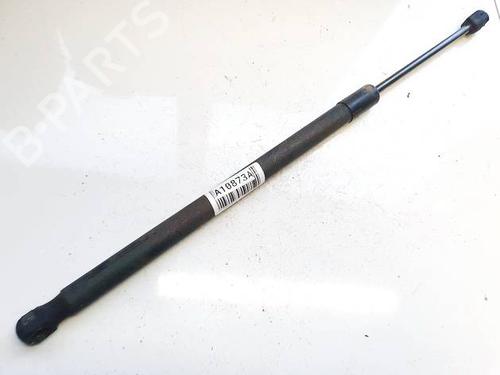 tailgate-lift-support-opel-corsa-d-s07-2006-2007-2008-2009-2010-2011-2012-2013-2014-2015-34863993 main image