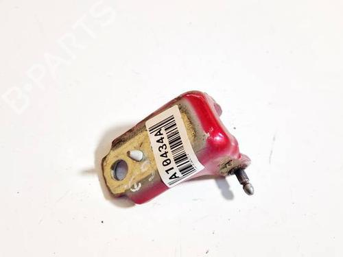 hingedoor-check-strap-citroen-c3-ii-sc_-2009-32570709 main image