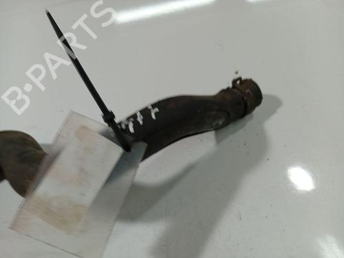 Pipe NISSAN PRIMERA Hatchback (P12) 1.9 dCi | BP38259421M125 - Image 3