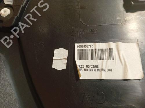 Front right panel CITROËN C4 Grand Picasso I (UA_) 1.6 HDi | BP34764550C59 - Image 4