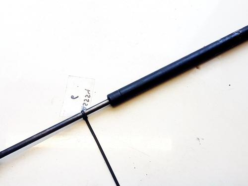 tailgate-lift-support-renault-vel-satis-bj0_-2002-35638657 main image