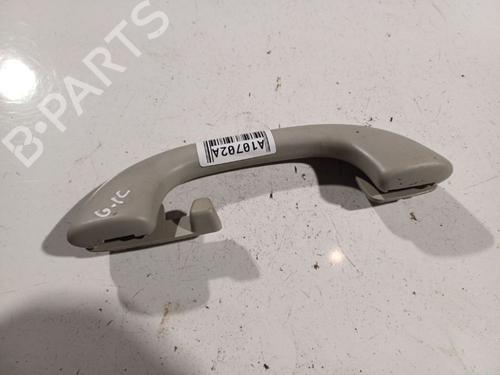 interior-roof-handle-citroen-c5-iii-rd_-2008-2009-2010-2011-2012-2013-2014-2015-2016-2017-34958795 main image