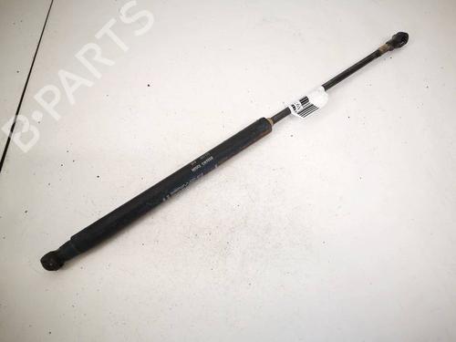 tailgate-lift-support-fiat-punto-evo-199_-2008-35106803 main image