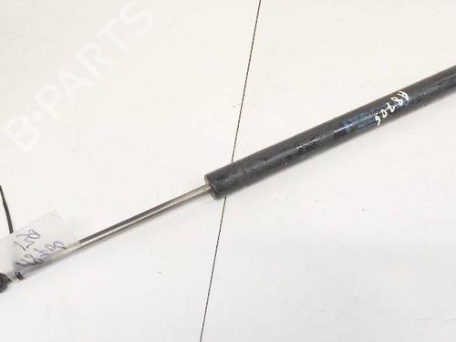 tailgate-lift-support-ford-galaxy-ii-wa6-2006-2007-2008-2009-2010-2011-2012-2013-2014-2015-35343285 main image