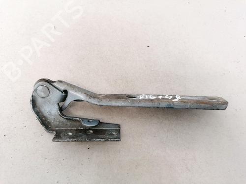 hingedoor-check-strap-vw-passat-b55-3b3-2000-2001-2002-2003-2004-2005-35621278 main image