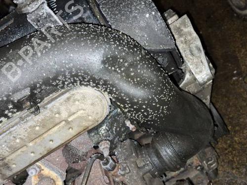 Pipe AUDI A3 (8P1) 2.0 TDI 16V | BP32530796M125 - Image 2