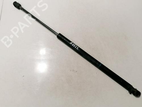 tailgate-lift-support-renault-scenic-ii-jm01_-2003-2004-2005-2006-2007-2008-2009-2010-35577994 main image