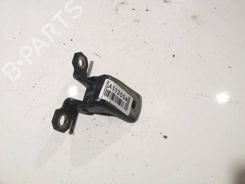 hingedoor-check-strap-renault-laguna-iii-bt01-2007-2008-2009-2010-2011-2012-2013-2014-2015-33837800 main image