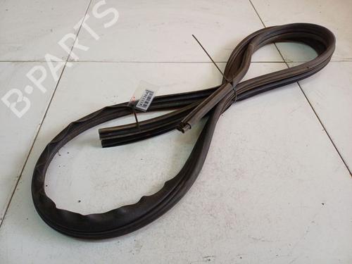 Gummiliste DACIA SANDERO 1.2 16V | BP34808489C142 - Image 3