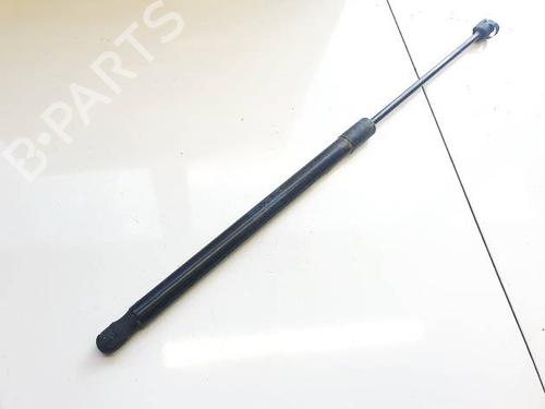 tailgate-lift-support-skoda-superb-ii-3t4-2008-2009-2010-2011-2012-2013-2014-2015-34974578 main image