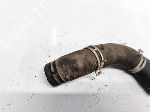 Pipe FORD FOCUS III 1.6 TDCi | BP32628139M125