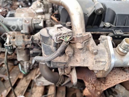 Used Egr Egr 35075639 35075639