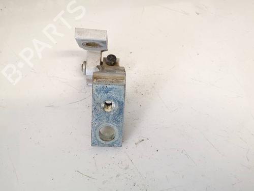 Hinge/Door check strap AUDI A4 B6 (8E2) 2.5 TDI quattro | BP32589556C146