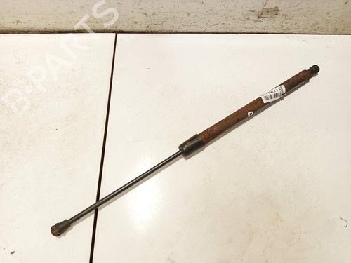 Used Tailgate lift support Tailgate lift support RENAULT SCÉNIC III (JZ0/1_) 1.5 dCi (110 hp) 34876662 34876662