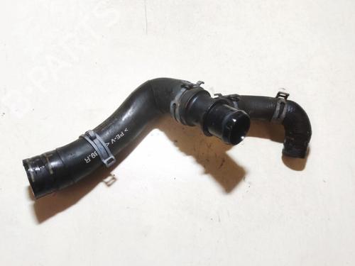 Pipe AUDI A8 D4 (4H2, 4H8, 4HC, 4HL) 4.2 TDI quattro | BP33106270M125 - Image 2