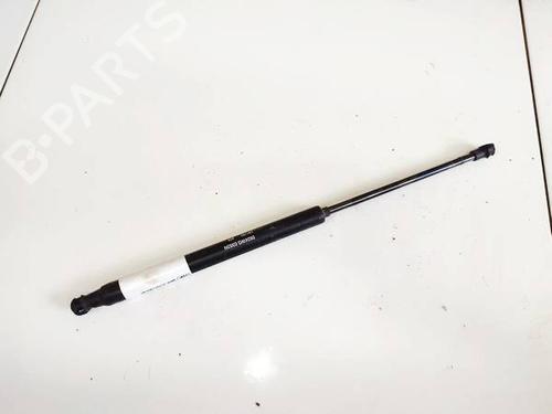 tailgate-lift-support-fiat-punto-evo-199_-2008-35012159 main image