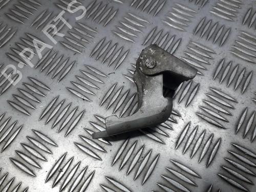 hingedoor-check-strap-renault-megane-iii-hatchback-bz01_-b3_-2008-33501899 main image