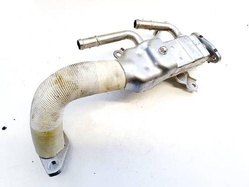 Egr Egr 38575816 38575816