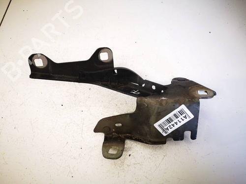 Used Hinge/Door check strap Hinge/Door check strap RENAULT LAGUNA III (BT0/1) 2.0 dCi (BT07, BT0J, BT14, BT1A, BT1S) (131 hp) 36506703 36506703