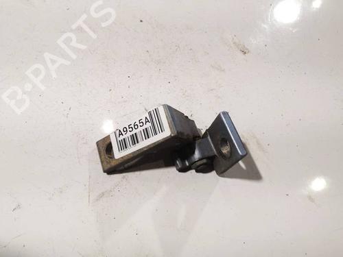 hingedoor-check-strap-fiat-grande-punto-199_-2005-34203930 main image