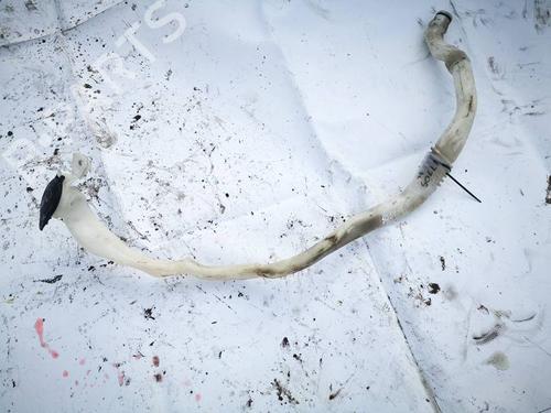 Used Pipe Pipe 35371369 35371369