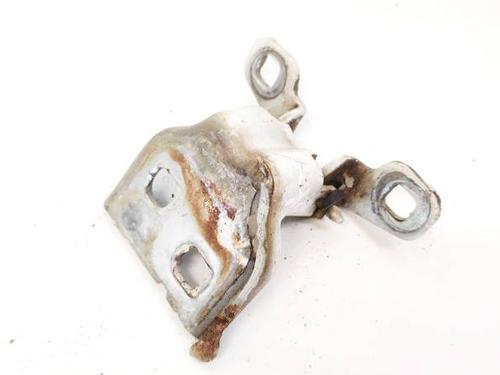 hingedoor-check-strap-dacia-sandero-ii-2012-32965139 main image