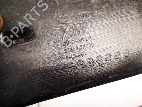 Pipe KIA SORENTO II (XM) 2.2 CRDi | BP35073748M125 - Image 2