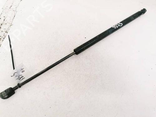 tailgate-lift-support-renault-scenic-ii-jm01_-2003-2004-2005-2006-2007-2008-2009-2010-35375031 main image