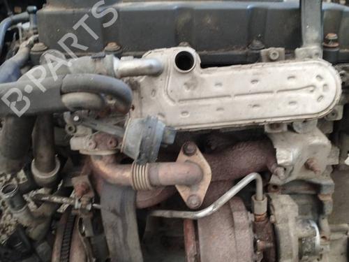 Used Egr Egr 35302442 35302442