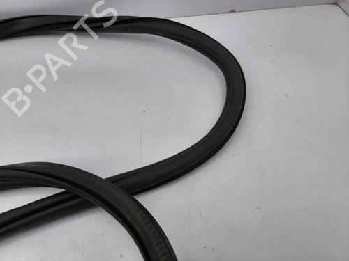 Gummiliste VW T-ROC (A11, D11) 1.0 TSI | BP36313912C142  - Image 6