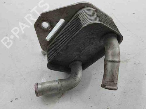 Oliekøler LEXUS NX (_Z1_) 300h AWD (AYZ15_) | BP28856993M33