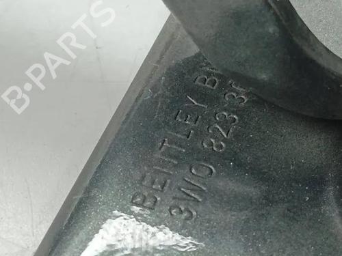 Hinge/Door check strap BENTLEY FLYING SPUR (4W_) 6.0 W12 | BP28859405C146 