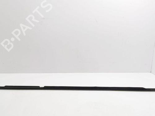 Door moulding trim MERCEDES-BENZ R-CLASS (W251, V251) R 320 CDI 4-matic (251.022, 251.122) | BP28889099C150 