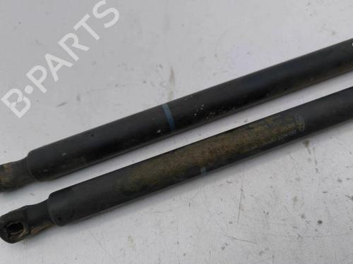 Tailgate lift support FORD GRAND C-MAX (DXA/CB7, DXA/CEU) 2.0 TDCi | BP28894418C138 
