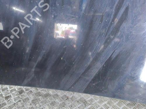 Hood LAND ROVER RANGE ROVER SPORT I (L320) 2.7 D 4x4 | BP28894724C1