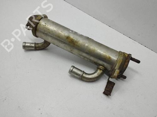 Egr Egr 38252025 38252025