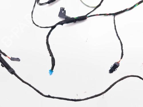 Wiring harness BMW X5 (E70) xDrive 30 d | BP36084207E16 - Image 4