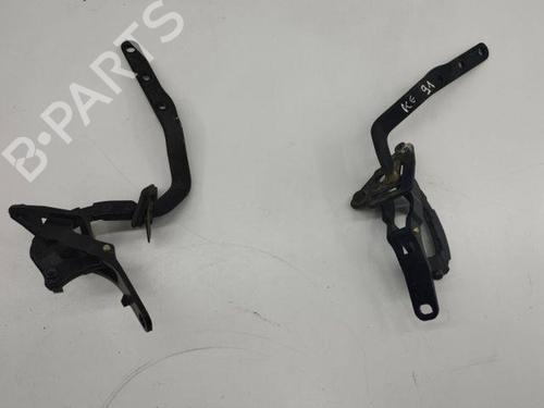 Hinge/Door check strap VOLVO V70 II (285) D5 | BP28841463C146 