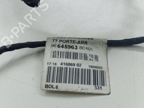 Wiring harness PEUGEOT 308 SW I (4E_, 4H_) 1.6 HDi | BP28841674E16 