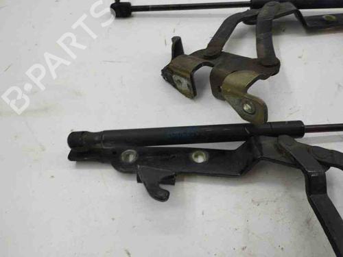 Hinge/Door check strap MASERATI QUATTROPORTE V 4.2 | BP28876828C146 