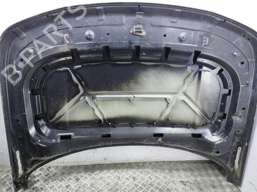 Hood LAND ROVER RANGE ROVER SPORT I (L320) 2.7 D 4x4 | BP28894724C1