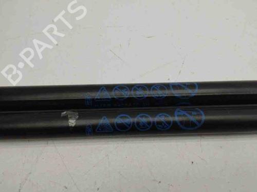 Tailgate lift support FORD FIESTA VII (HJ, HF) 1.0 EcoBoost | BP28899878C138