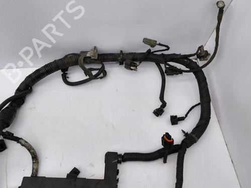 Ledningsnett OPEL ANTARA A (L07) 2.2 CDTi | BP28896044E16 