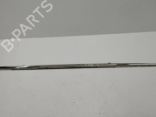 Door moulding trim BENTLEY CONTINENTAL FLYING SPUR (3W_) 6.0 | BP28898579C150 