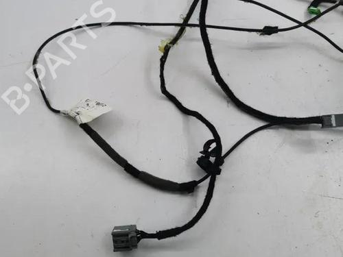 Wiring harness LAND ROVER RANGE ROVER EVOQUE (L538) 2.2 D 4x4 | BP28859756E16 