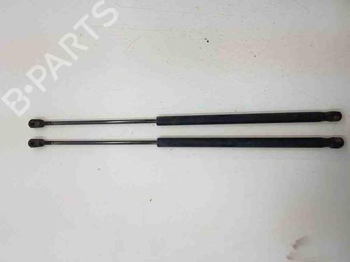 Amortiguador portón/maletero FORD FOCUS C-MAX (DM2) 1.6 TDCi (109 hp) 28891437