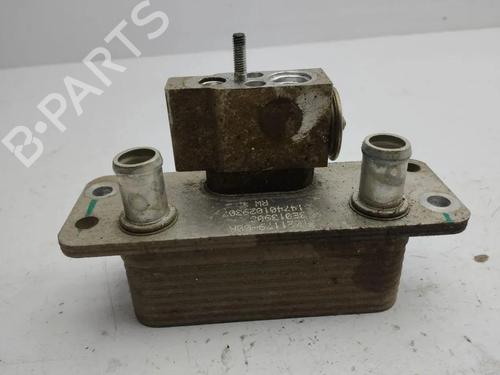 Heater matrix TESLA MODEL S (5YJS) 85 | BP36187837M63 - Image 2